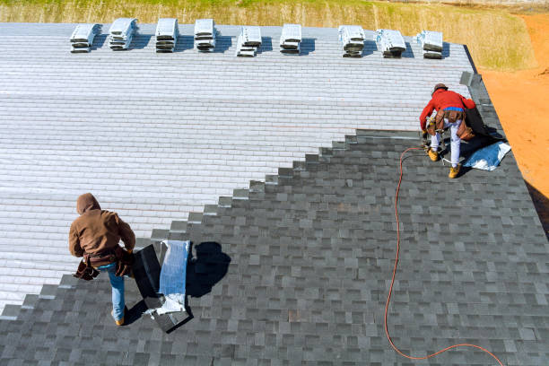 Best Gutter Installation and Roofing  in Winthrop Harbor, IL