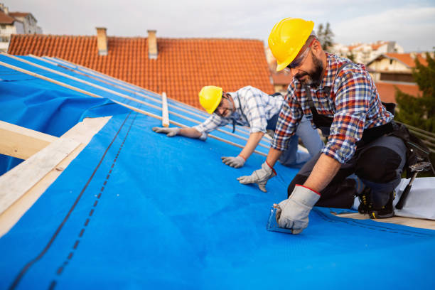 Best Roof Waterproofing Services  in Winthrop Harbor, IL